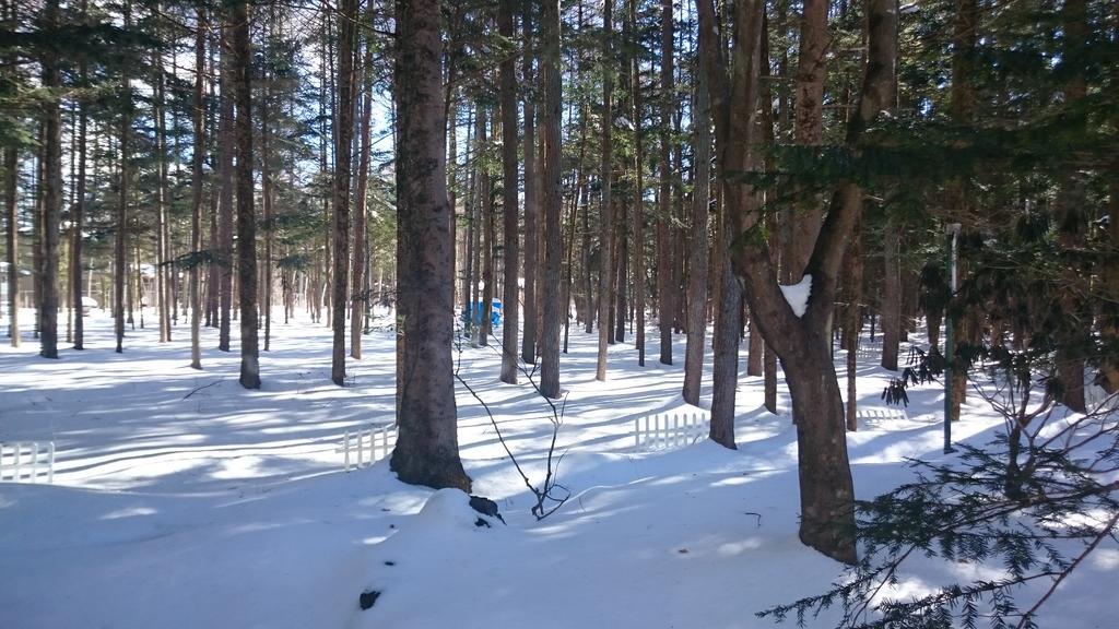 Pension Candytuft Karuizawa Eksteriør billede