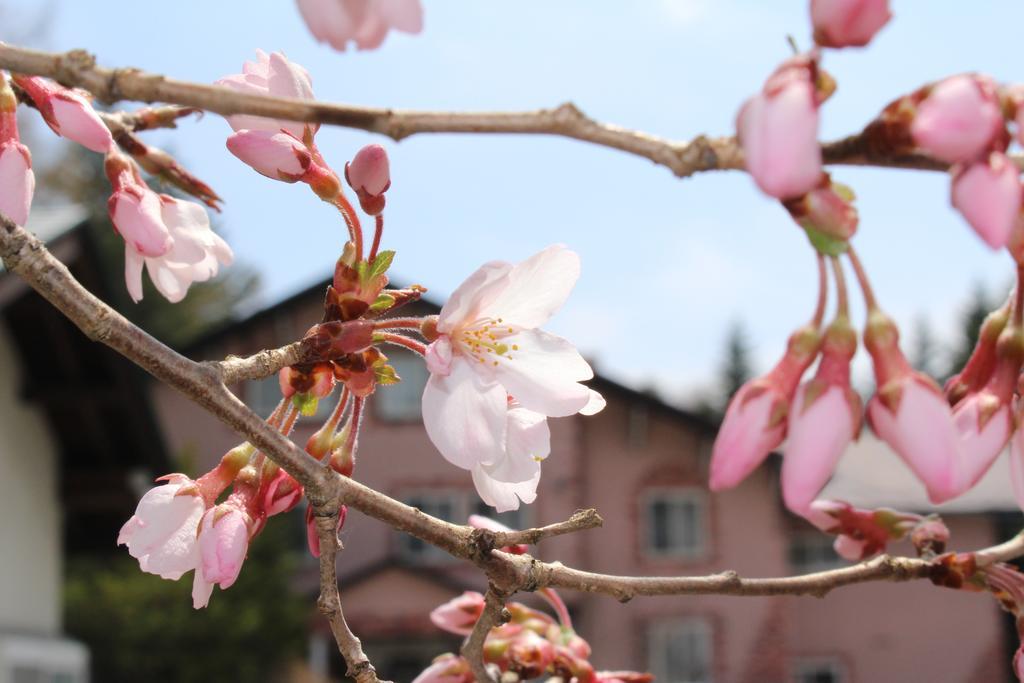 Pension Candytuft Karuizawa Eksteriør billede