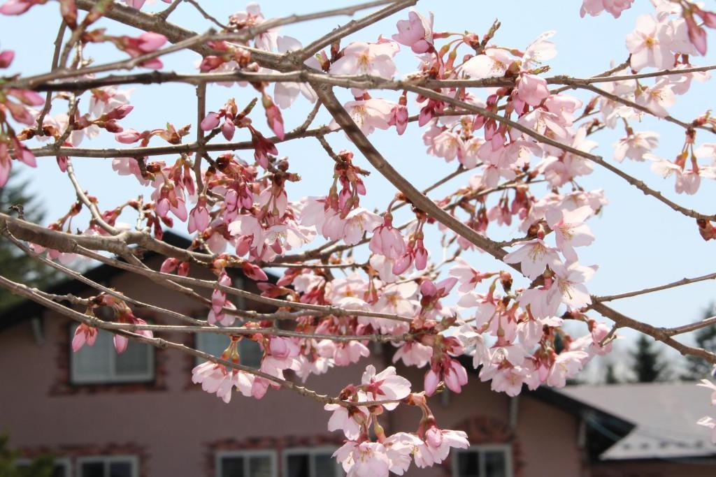 Pension Candytuft Karuizawa Eksteriør billede