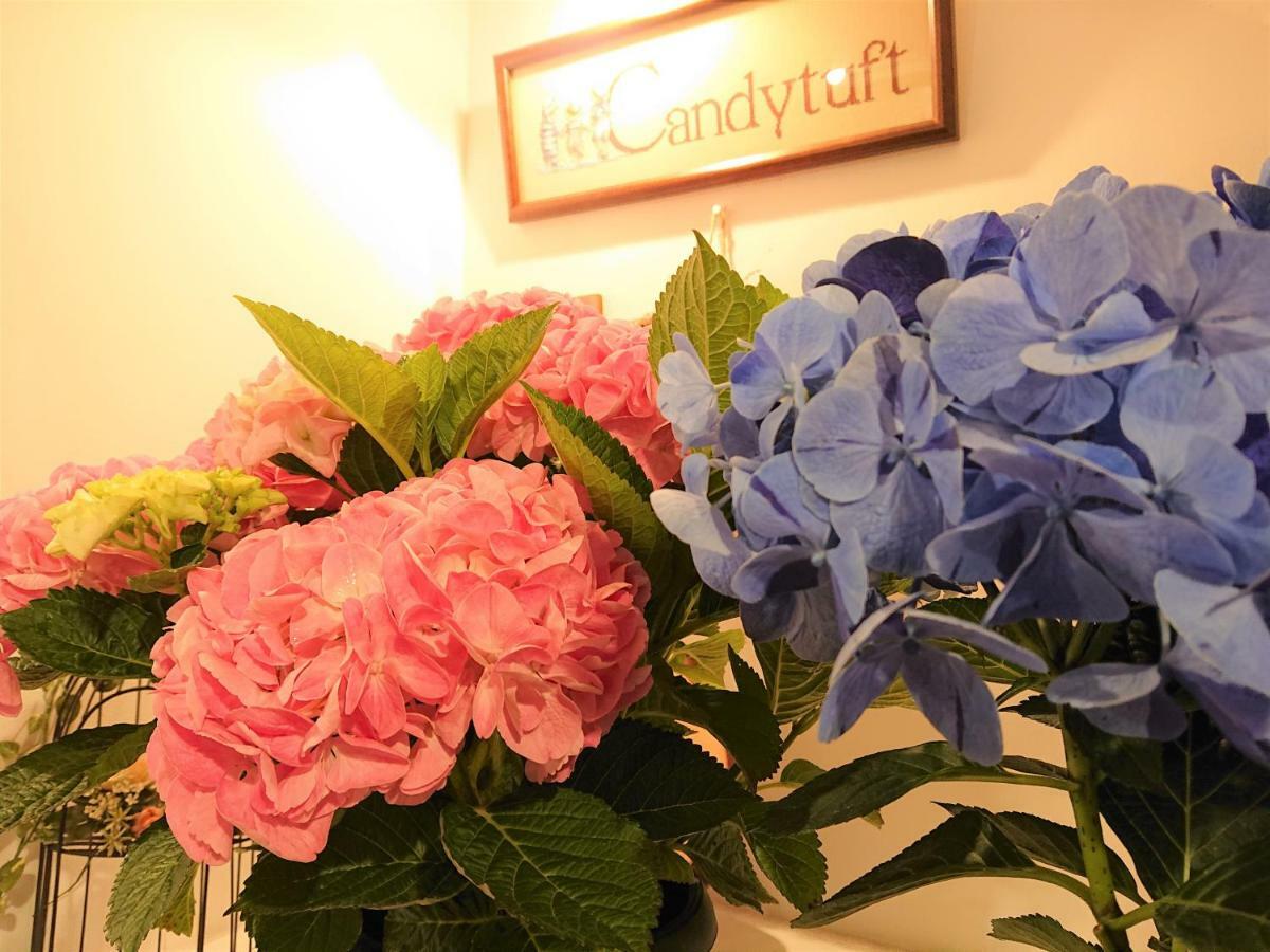 Pension Candytuft Karuizawa Eksteriør billede